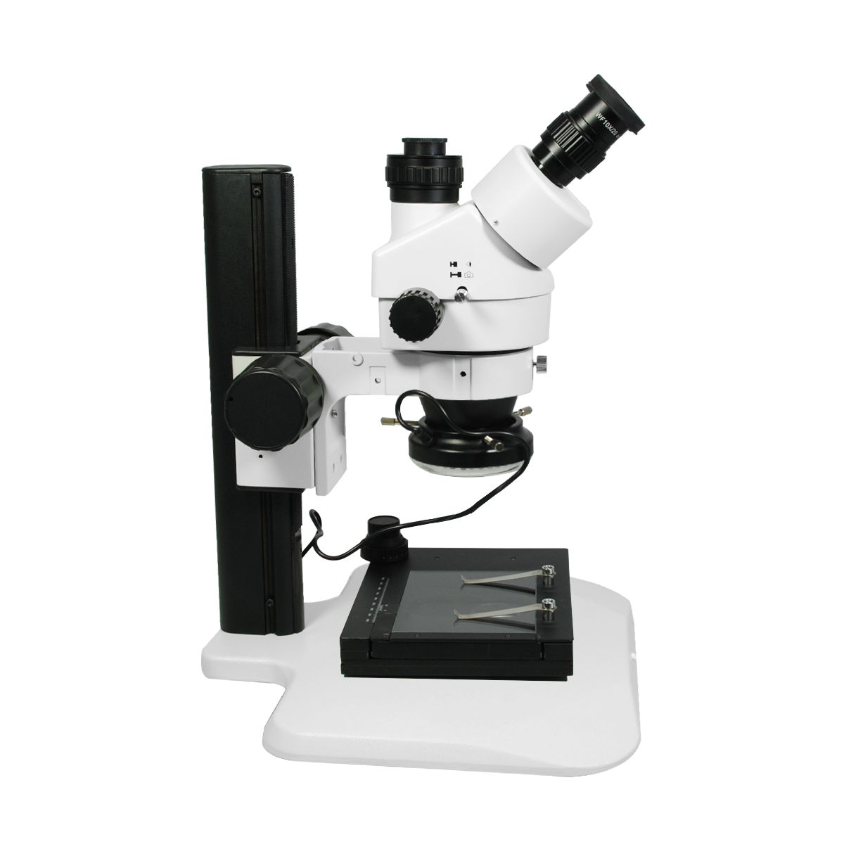 Stereo Microscope